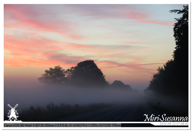 Ginkelse Heide IMG_0835