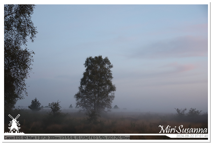 Ginkelse Heide IMG_0840