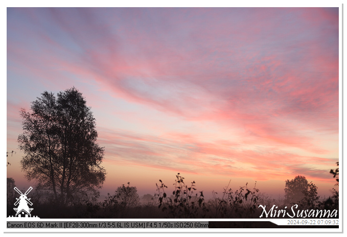 Ginkelse Heide IMG_0842