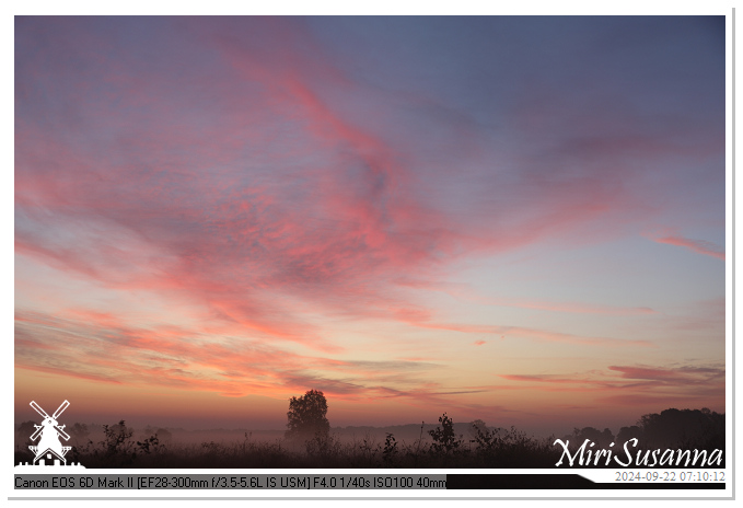 Ginkelse Heide IMG_0845