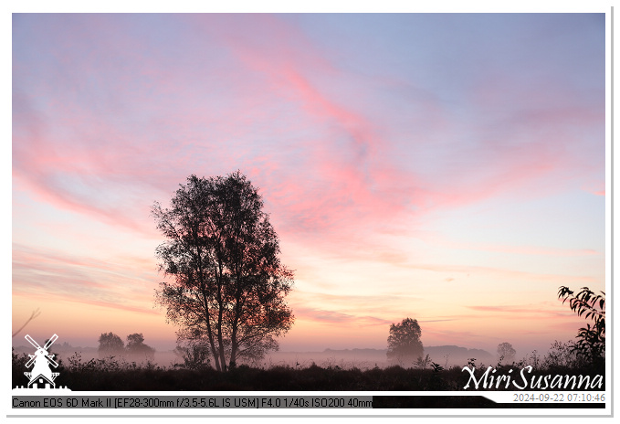 Ginkelse Heide IMG_0846
