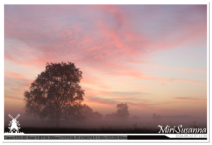 Ginkelse Heide IMG_0848