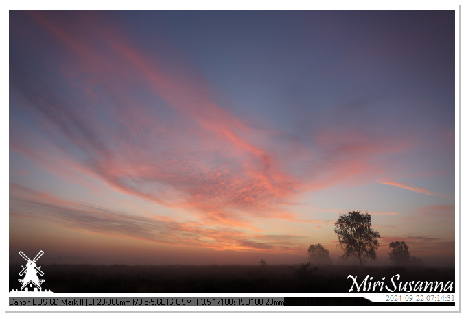 Ginkelse Heide IMG_0851