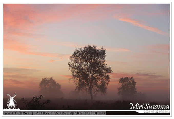 Ginkelse Heide IMG_0852