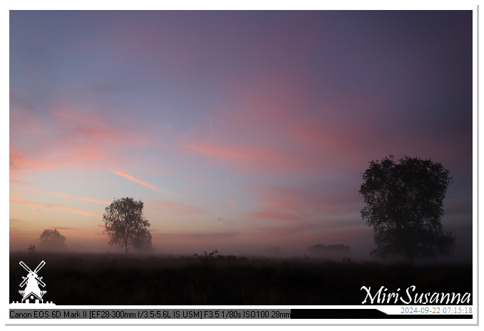 Ginkelse Heide IMG_0854