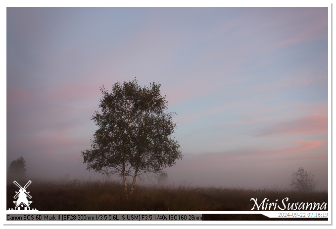 Ginkelse Heide IMG_0855