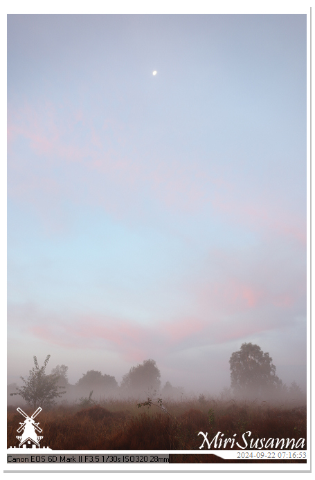 Ginkelse Heide IMG_0857