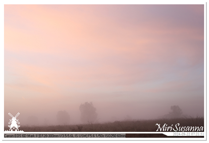 Ginkelse Heide IMG_0866