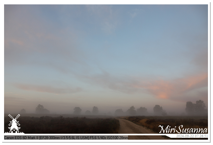 Ginkelse Heide IMG_0876