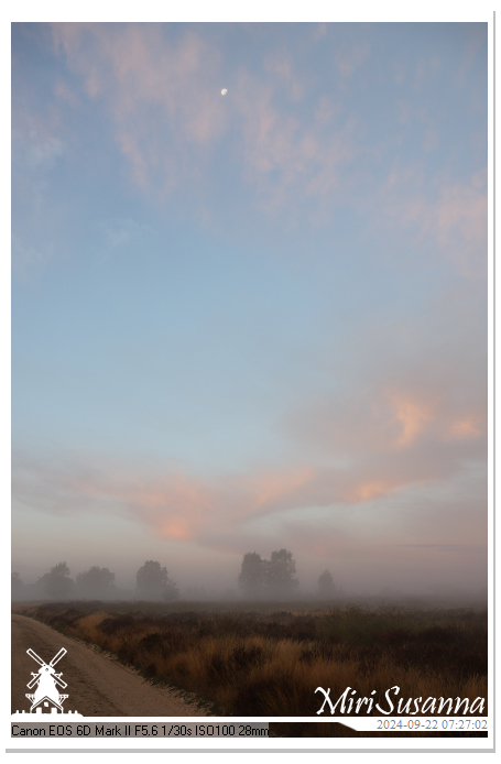 Ginkelse Heide IMG_0877