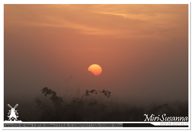 Ginkelse Heide IMG_0890