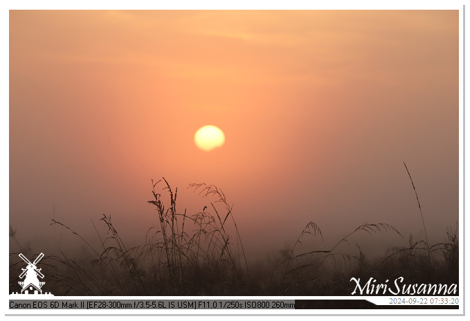 Ginkelse Heide IMG_0893