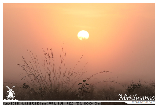 Ginkelse Heide IMG_0897