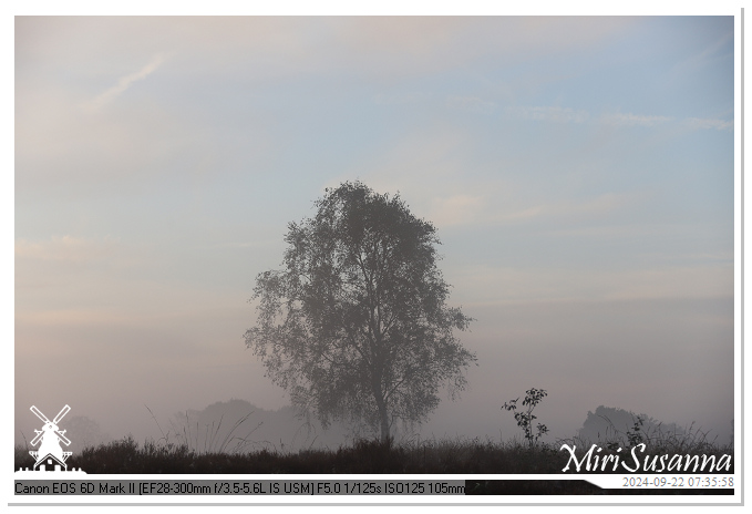 Ginkelse Heide IMG_0899