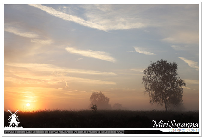 Ginkelse Heide IMG_0900