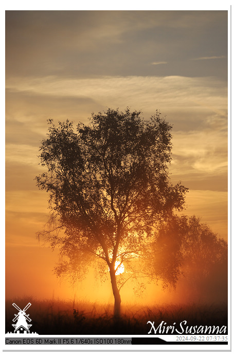 Ginkelse Heide IMG_0903