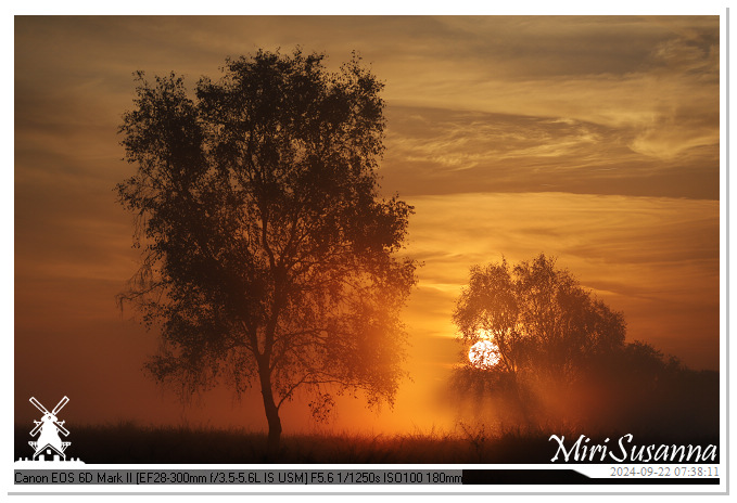 Ginkelse Heide IMG_0906