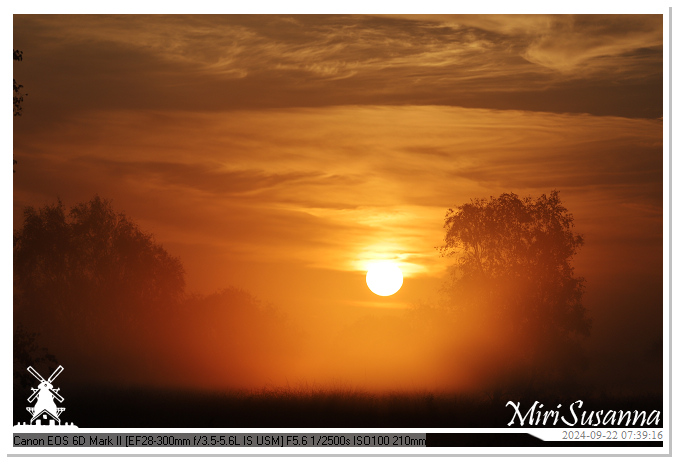 Ginkelse Heide IMG_0910