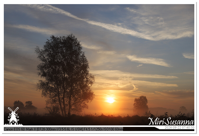 Ginkelse Heide IMG_0913