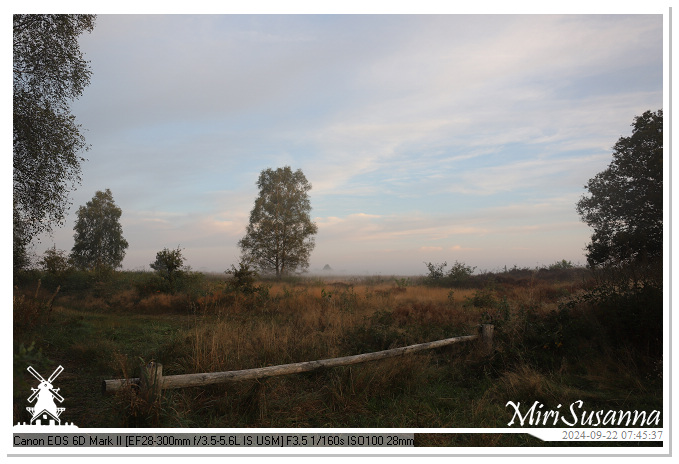 Ginkelse Heide IMG_0920