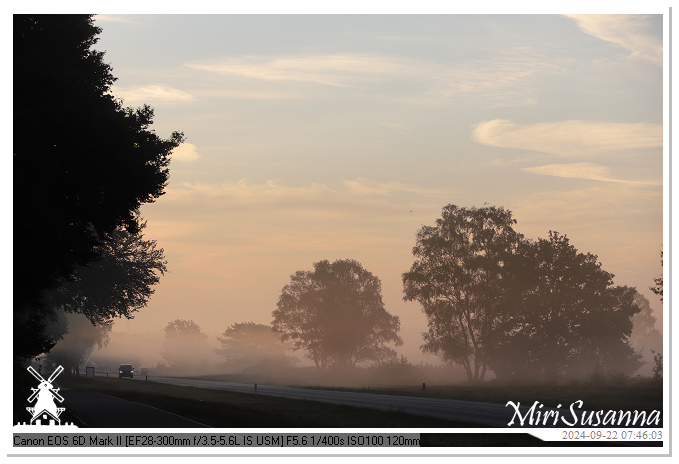 Ginkelse Heide IMG_0922