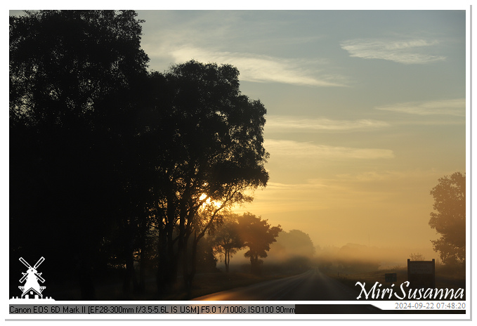 Ginkelse Heide IMG_0930