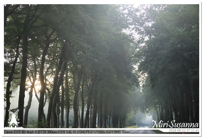 Ginkelse Heide IMG_0940