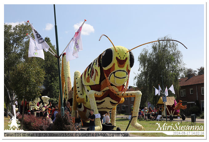 Bloemencorso Leersum 2024 IMG_9466