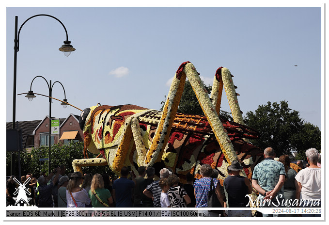 Bloemencorso Leersum 2024 IMG_9527