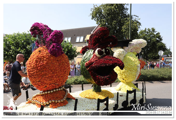 Bloemencorso Leersum 2024 IMG_9531