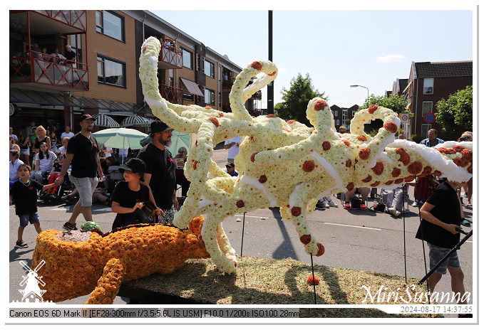 Bloemencorso Leersum 2024 IMG_9597