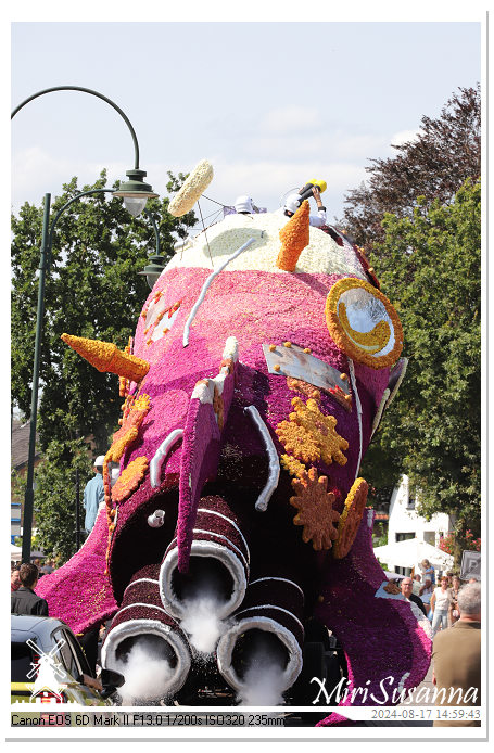 Bloemencorso Leersum 2024 IMG_9790