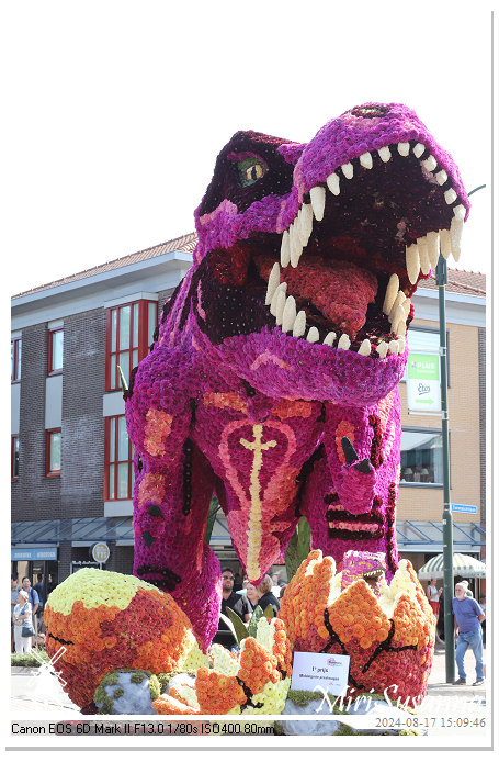 Bloemencorso Leersum 2024 IMG_9898