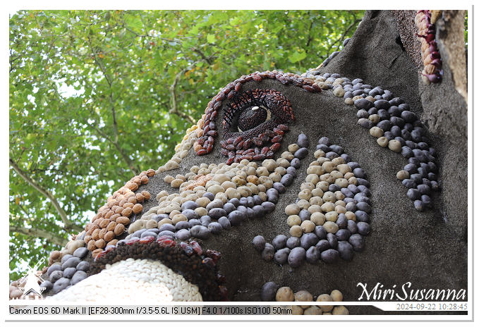 Fruitcorso Tiel 2024 IMG_0987