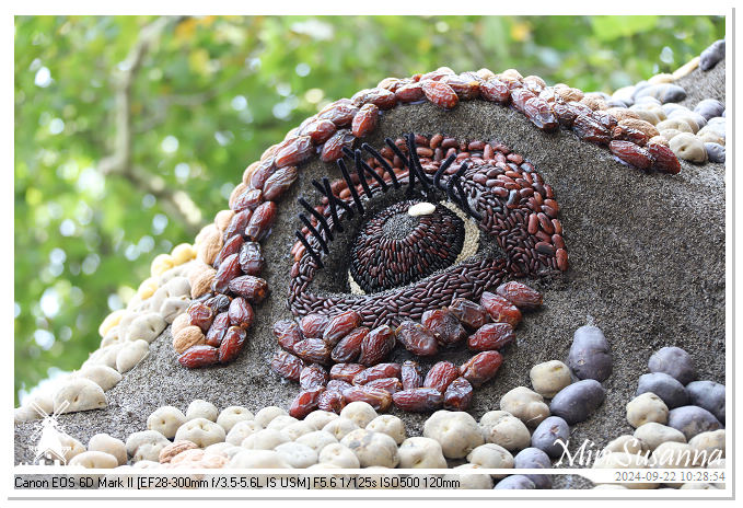 Fruitcorso Tiel 2024 IMG_0988