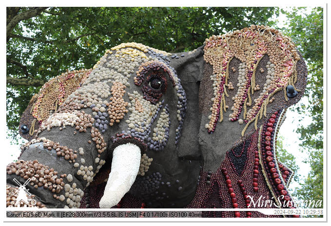 Fruitcorso Tiel 2024 IMG_0991