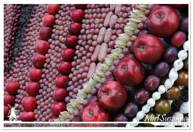 Fruitcorso Tiel 2024 IMG_0992