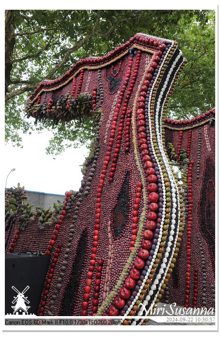 Fruitcorso Tiel 2024 IMG_0993