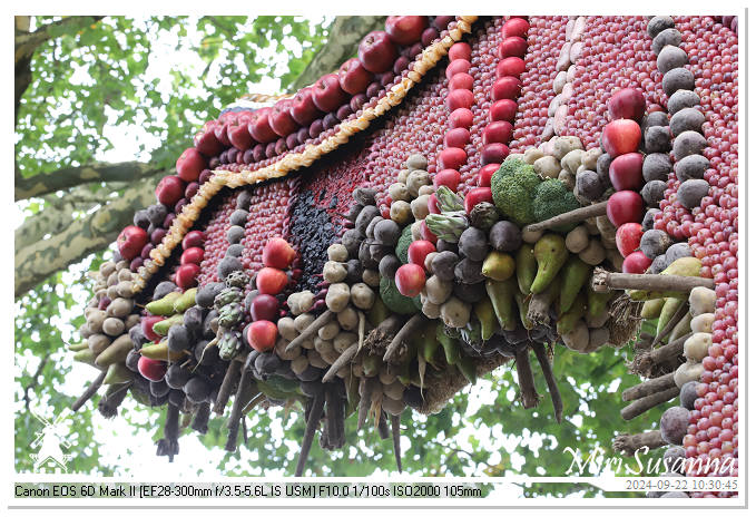 Fruitcorso Tiel 2024 IMG_0994