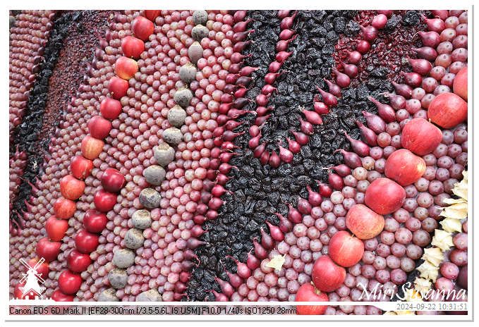 Fruitcorso Tiel 2024 IMG_0998