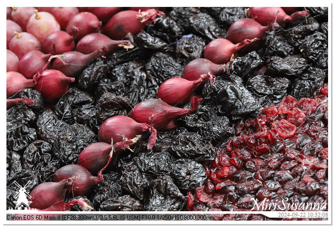 Fruitcorso Tiel 2024 IMG_0999