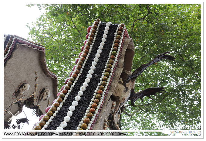 Fruitcorso Tiel 2024 IMG_1000