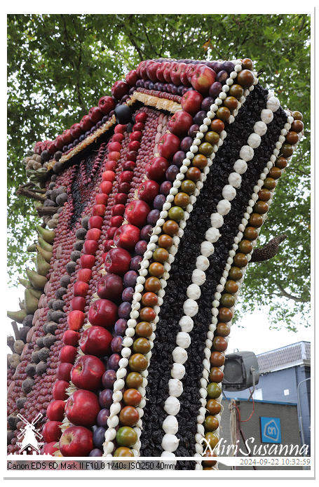 Fruitcorso Tiel 2024 IMG_1002