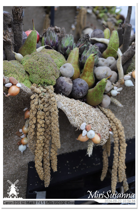 Fruitcorso Tiel 2024 IMG_1007