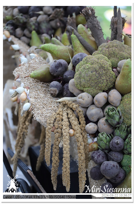 Fruitcorso Tiel 2024 IMG_1011