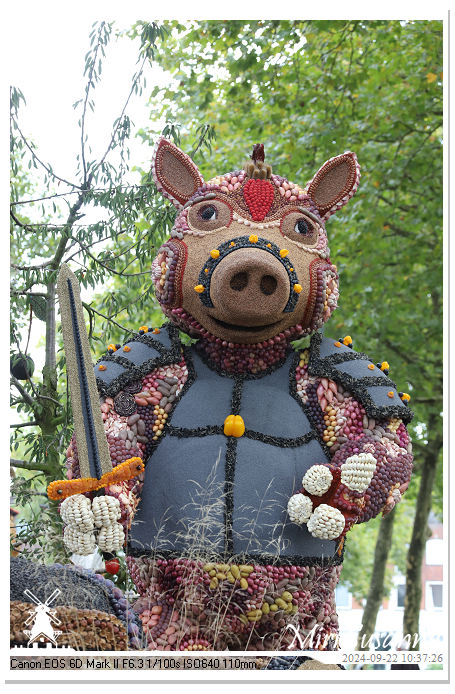 Fruitcorso Tiel 2024 IMG_1013