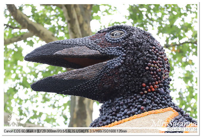 Fruitcorso Tiel 2024 IMG_1015