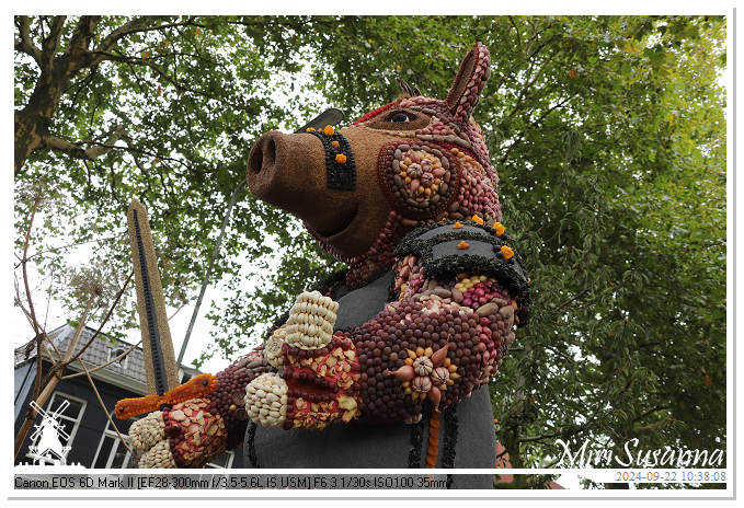 Fruitcorso Tiel 2024 IMG_1016