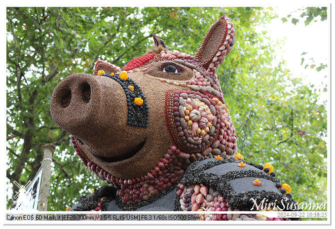 Fruitcorso Tiel 2024 IMG_1017