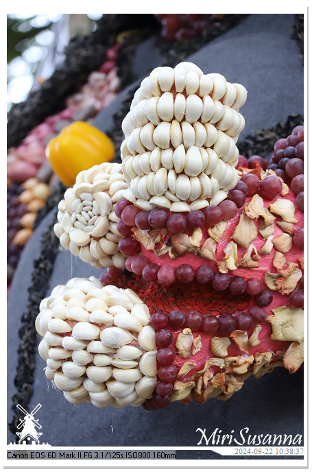 Fruitcorso Tiel 2024 IMG_1018